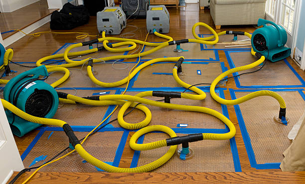 Professional Structural Drying And Dehumidification technician working in Ho-Ho-Kus, NJ